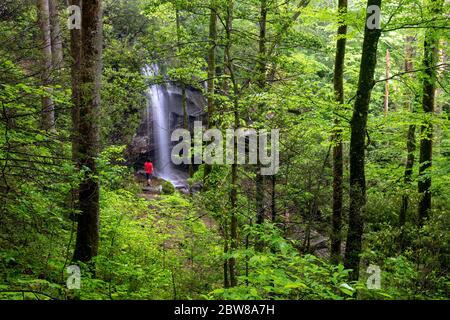 Hiker at Slick Rock Falls - Pisgah National Forest, Brevard, North Carolina, USA Stock Photo