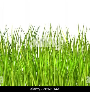 Seamlessly loopable pattern of grass field isolated on white Stock ...