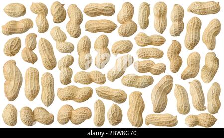 Isolated peanuts. Collection of raw peanuts in shells isolated on white background Stock Photo