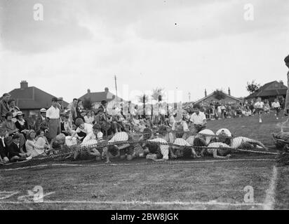 Days Lane School Sports day , Sidcup , Kent . The obstacle race under way 1937 Stock Photo