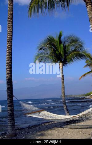 Hammock hangs on two palm trees on the Kohala Coast.  View includes Mauna Kea mountains and the Makaiwa Bay Beach. Stock Photo