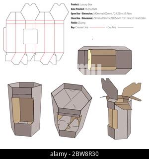 packaging design layout