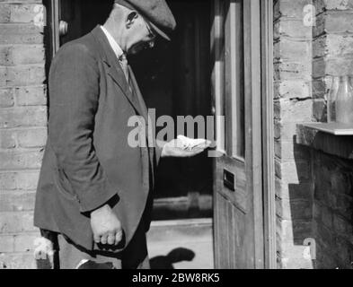 A man holding an Indian moth in the palm of his hand . 1938 Stock Photo