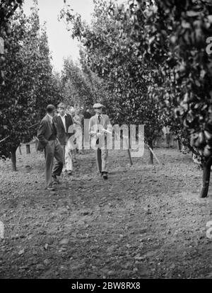 Mr J Amos showing people around at the East Malling Research Station open day in Kent . 1938 Stock Photo