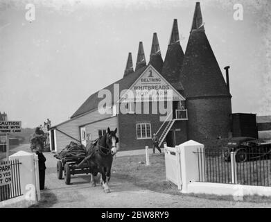 Whitbread ' s hop farm in Belting , Kent . The kilns where the hops are dried . 1938 Stock Photo
