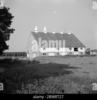A new type of oast house in Paddock Wood , Kent . 1936 Stock Photo