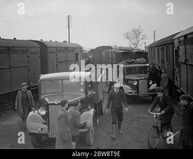 Penfold ' s lorries delivering boxed lions to the railway sidings for loading onto trains for transportation . 12 February 1938 Stock Photo