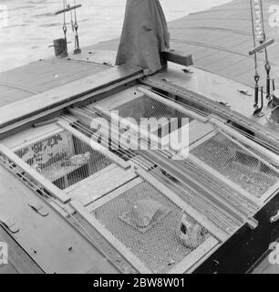 A pidgeon cage on a Dutch barge . 1938 Stock Photo
