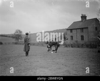 Horse trick riding in Eynsford , Kent . Hanging from the stirrup and picking an object from the floor . 1939 Stock Photo