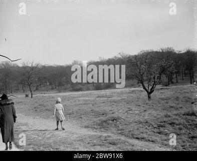 Going for a walk on Eltham common . 1938 Stock Photo