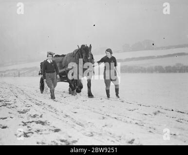 Land girls working on a farm . Here they are using a horse drawn cart to carry things through a snow covered field . 1939 Stock Photo