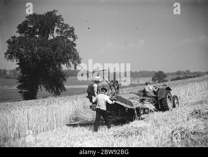 A farmer harvesting his crop with a tractor drawn combine . 1939 . Stock Photo