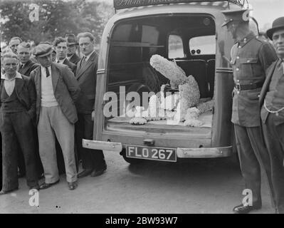 A military funeral procession in Woolwich . Floral spray in the back of a van . 23 May 1939 Stock Photo