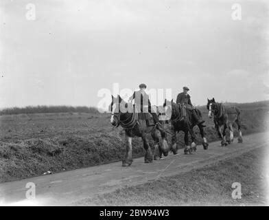 Farm workers returning home on their horses after a day 's ploughing . 1937 Stock Photo