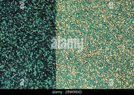 Dark and light green textured granular background Stock Photo