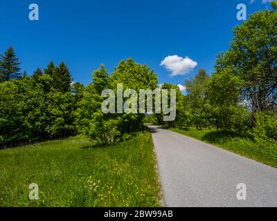 Countryside countryroad greenfield field sunshine intensive Green forest scenic scenery landscape Lokve in Croatia Europe Stock Photo