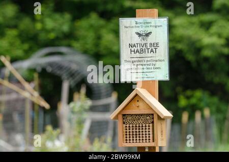 Above a wooden bee house, a 'Native Bee Habitat' sign describes a section at a community garden planted for pollinators. Stock Photo