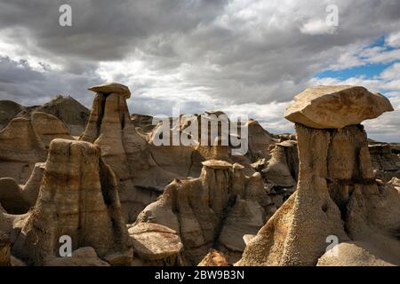 NM00257-00...NEW MEXICO - Hoodoos located along the steep walls of ridges in the Bisti Wilderness. Stock Photo