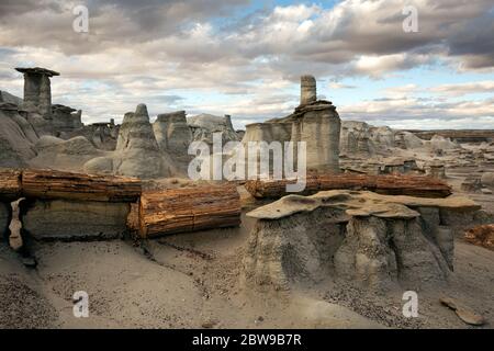 NM00266-00...NEW MEXICO - Late afternoon in the petrified wood area of the Bisti Wilderness area. Stock Photo