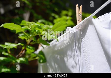 White tablecloth drying on clothesline at green leaves Stock Photo