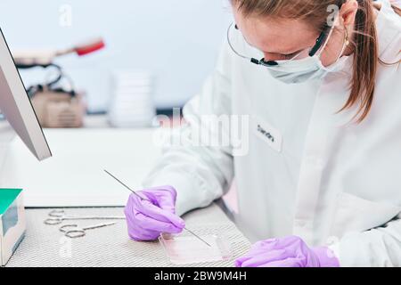 Female technician working with tests Stock Photo