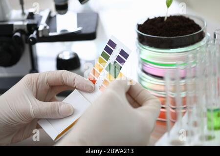 Gloved hands holding paper to test soil acidity Stock Photo