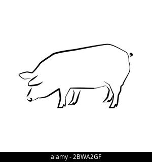 Pig icon. Outline vector illustration. Hand drawn style. Farm animals. Logo of pig full length isolated on white. Stock Vector