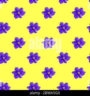 Seamless pattern with violet violets on a yellow background. Minimal isometric texture of food. Use for boards, print on fabric. View from above. Stock Photo