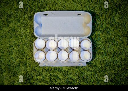 10 broken empty egg shells lie in a box on the green grass. top view, close-up Stock Photo