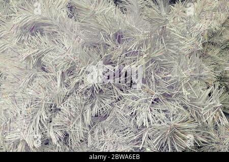 texture silver shiny New year christmas tinsel in the form of fir branches. close-up, soft focus. Stock Photo