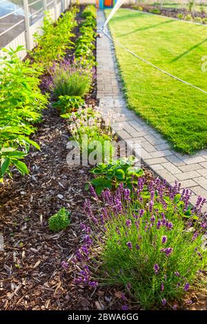 Gardening - Garden with fresh new lawn, bark mulch area to reduce weed growth and your plants Stock Photo