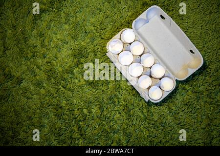 10 broken empty egg shells lie in a box on the green grass. top view, close-up, place for copyspace Stock Photo