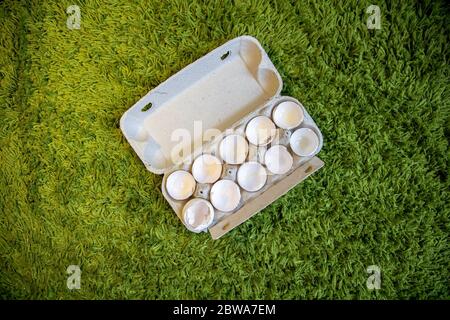10 broken empty egg shells lie in a box on artificial grass. top view, close-up Stock Photo