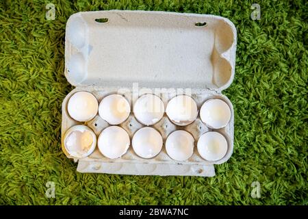 10 broken empty egg shells lie in a box on artificial grass. top view, close-up Stock Photo