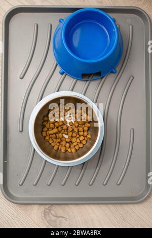 Clean tray with dog pet granulated dry food and water drink top view in metal and blue plastic deep big bowl Stock Photo
