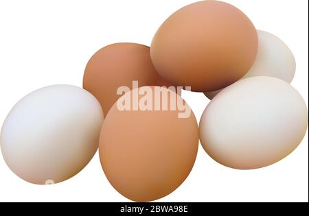 Realistic vector eggs. Isolated in white background Stock Vector