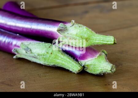 purple chinese eggplant with vibrant gradient rainbow color Stock Photo