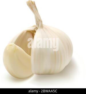 Realistic vector garlic. Isolated on white background. Stock Vector