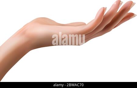 Realistic vector female hand. Isolated in white background. Stock Vector