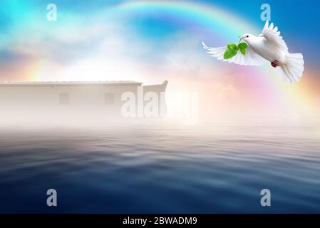 White dove flying with olive leaf in its beak. Noah's ark bible story theme concept. Stock Photo