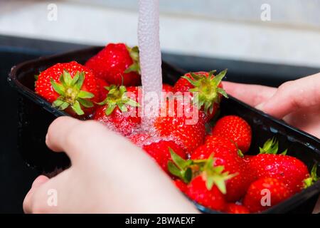 Washing strawberries. The girl washes the ripe strawberries under a strong stream of water, wash the strawberries thoroughly before eating. Selective Stock Photo