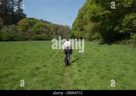 Adult Female Walker with a Black Schnoodle Dog Walking Along a Rural Track through a Field Surrounded by Trees by the Little Dart River in the Devon C Stock Photo