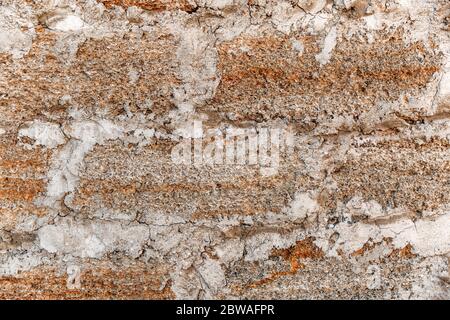 Brick from shells Texture background. Uneven surface of shell rock.Textured Stock Photo