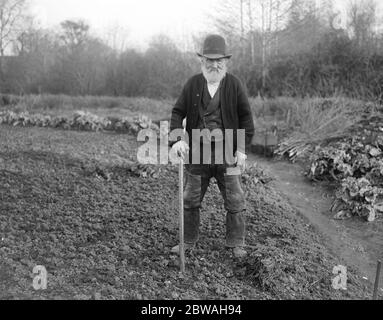 An Example to Allotment Workers Mr Robert James , who is 97 years of age , still spends most of the day working on a plot of land adjoing his cottage at Uffculme , Devon 9 March 1918 Stock Photo