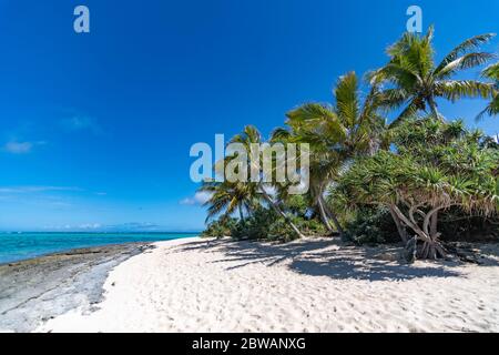 Deserted Beach Mystery Island, Vanuatu Stock Photo