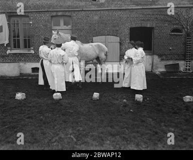 The blue cross society ' s hospital at Serqueux Stock Photo