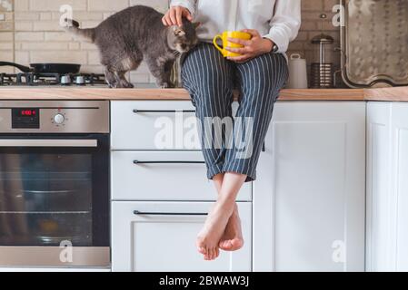 woman sitting on kitchen table with cat drinking tea from yellow mug Stock Photo