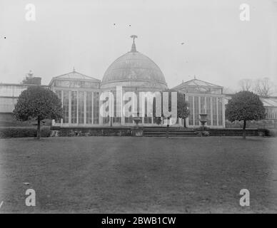 Where Princess Mary will spend part of her honeymoon . Weston Park , the Shropshire home of the Earl and Countess of Bradford . The conservatory in the magnificent grounds of Weston Park . 3 February 1922 Stock Photo