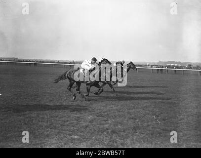 At the races at Newmarket ; nearing the finish of the ' Jockey Club Stakes ' , ' Flares ' ( 2nd ) nearest the camera . 30 September 1937 Stock Photo