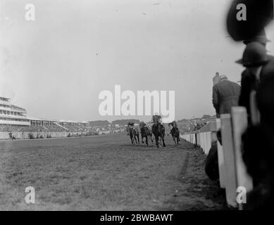 The race for the Oak Stakes at Epsom . Sir E Hulton 's  Straitlace  ridden by F O ' Neill winning the Oak Stakes at Epsom . The finish of the race . 6 June 1924 Stock Photo